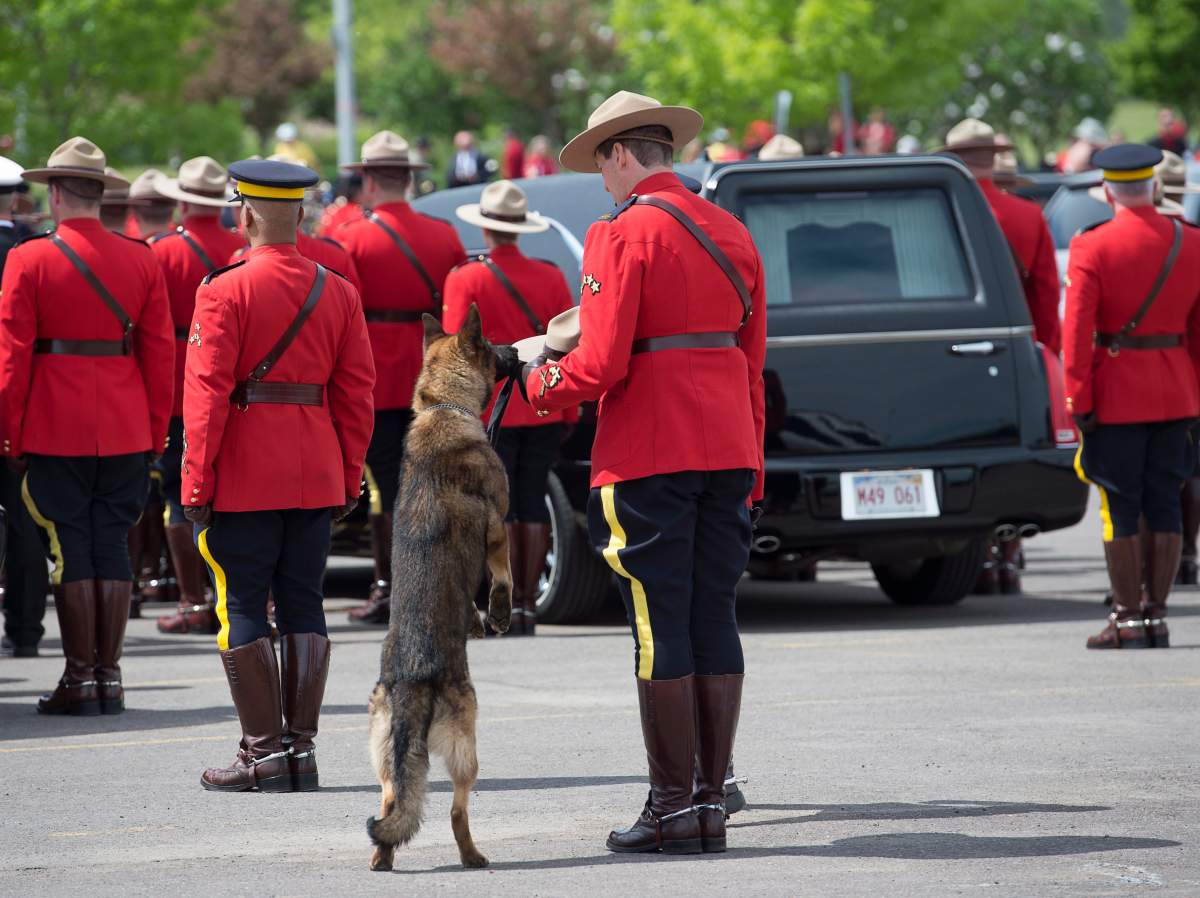K9 dog Danny, sniffs the stetson of his partner, slain Const. David Ross’ during the funeral procession for the three RCMP officers who were killed on duty, at their regimental funeral at the Moncton Coliseum in Moncton, N.B. on Tuesday, June 10, 2014.