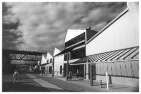 1981: Emily Carr College of Art + Design.