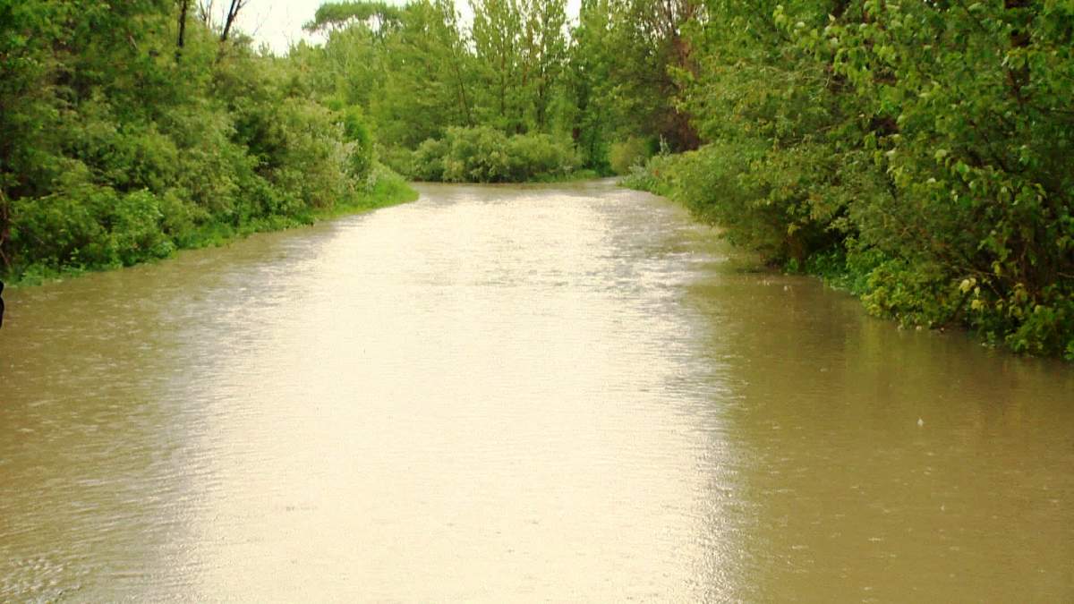 A swollen river near the Blood Tribe Reserve on Wednesday, June 18th, 2014.