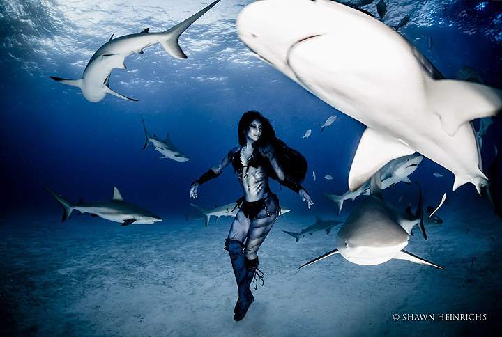 Model Hannah Fraser dances with a shoal of tiger sharks off the Bahamian coast to highlight the issue of shark culling.