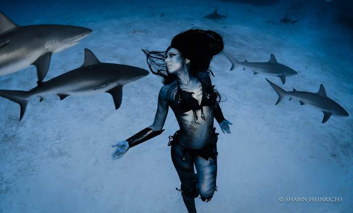 A female model has become the first person in the world to do a death-defying underwater dance with wild tiger sharks.