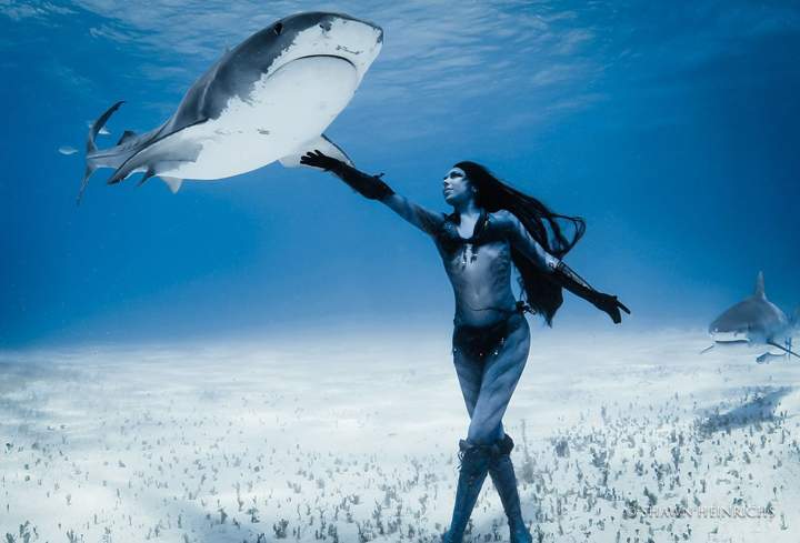 Model Hannah Fraser reaches out to touch a shark during her underwater visit.