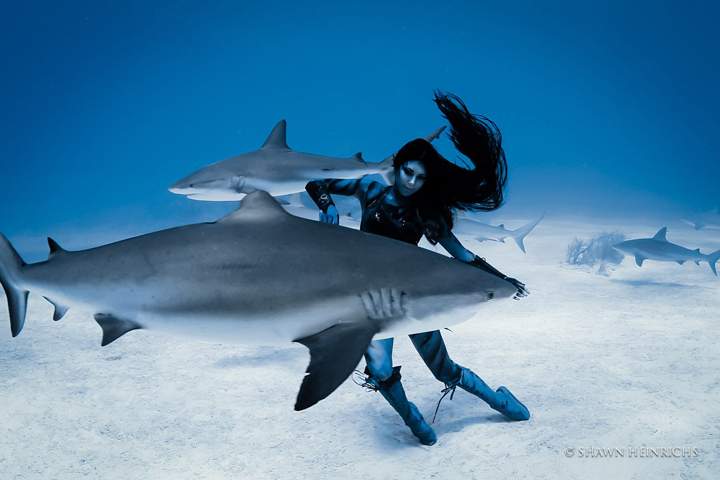 Model Hannah Fraser holds her breath as she moves with the tiger sharks below the surface.