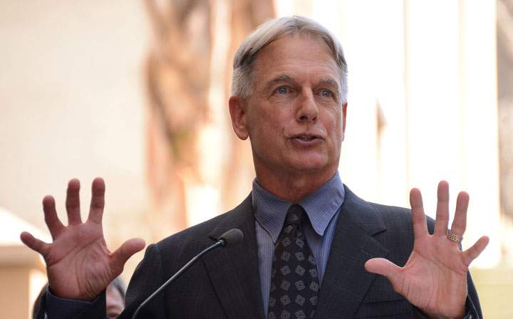 Mark Harmon