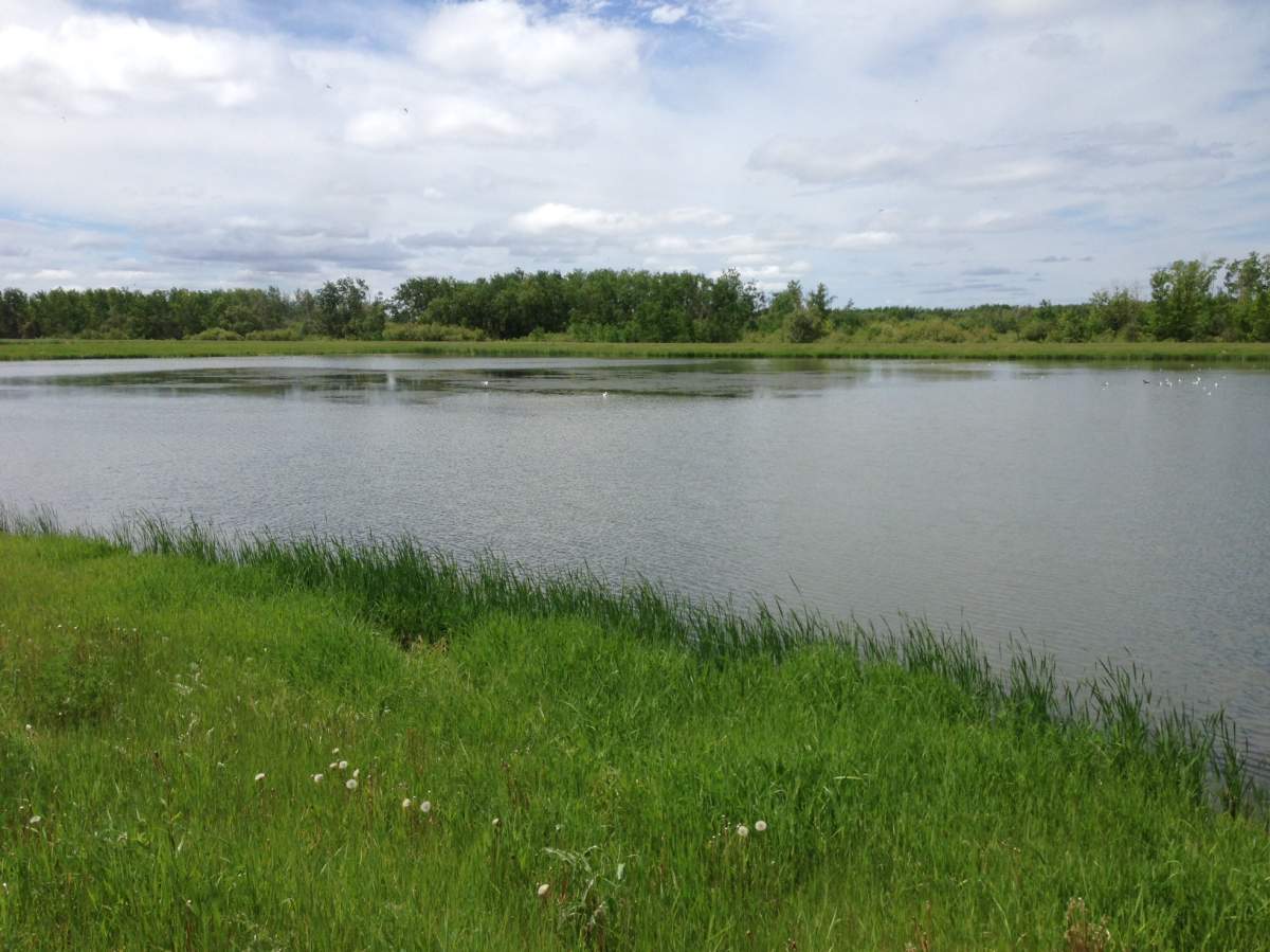It's part of an effort to divert harmful nutrients from Lake Winnipeg and improve flood protection in the province.