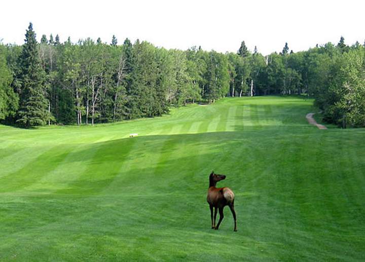Waskesiu Golf Course in Waskesiu, Sask.
