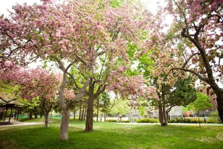 Westount Park in Montreal.