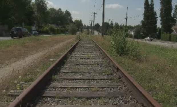 CP won’t immediately dismantle community gardens along Arbutus corridor - image