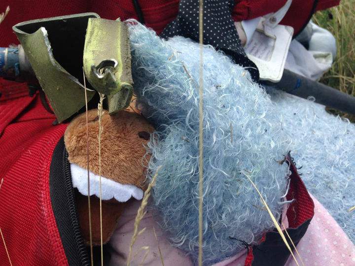 Personal effects near the wreckage from Malaysia Airlines Flight MH17