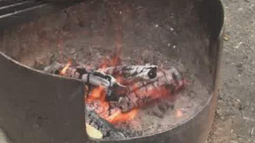 The Winnipeg Fire Paramedic Service has imposed a temporary ban on issuing open-air permits in Winnipeg.