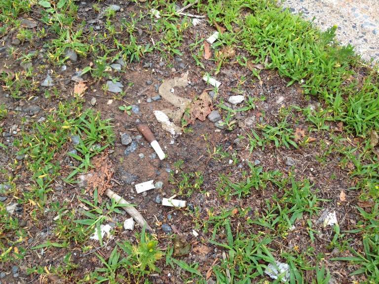 The Atlantic Convenience Stores Association, ACSA, is calling on the Nova Scotian government to impose heftier fines and increase enforcement around illegal tobacco, saying the trade is hurting convenience store owners.