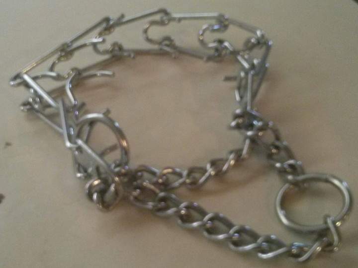 An example of a dog collar recently outlawed in Quebec.