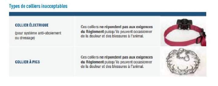 Animal collars considered unacceptable by the Quebec government.