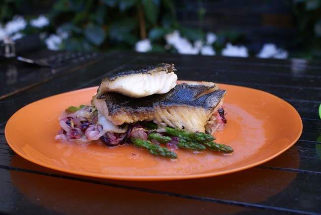 Camping recipes
