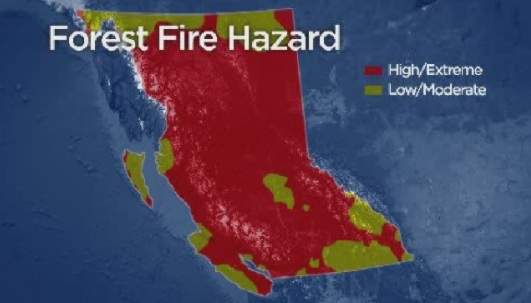 Fire danger in B.C., campfire ban begins Wednesday in Thompson- Okanagan region - image