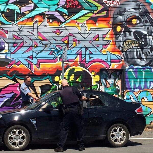 Victoria Police on the scene where the dogs were found.