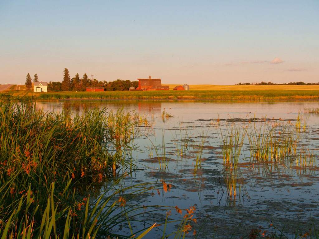 Wetlands prevent farmers from utilizing their land for agricultural purposes, but their loss has far-reaching consequences.