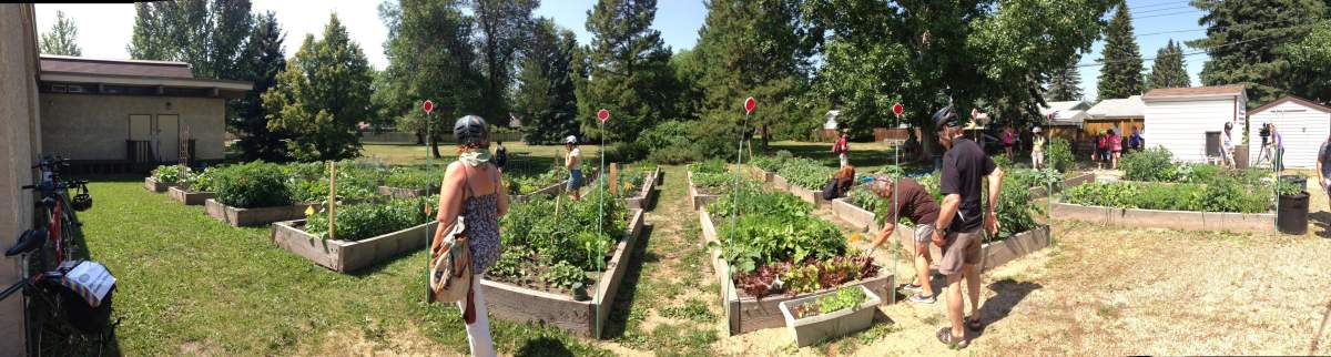 One of the single most effective ways to combat climate change? Plant a garden.
