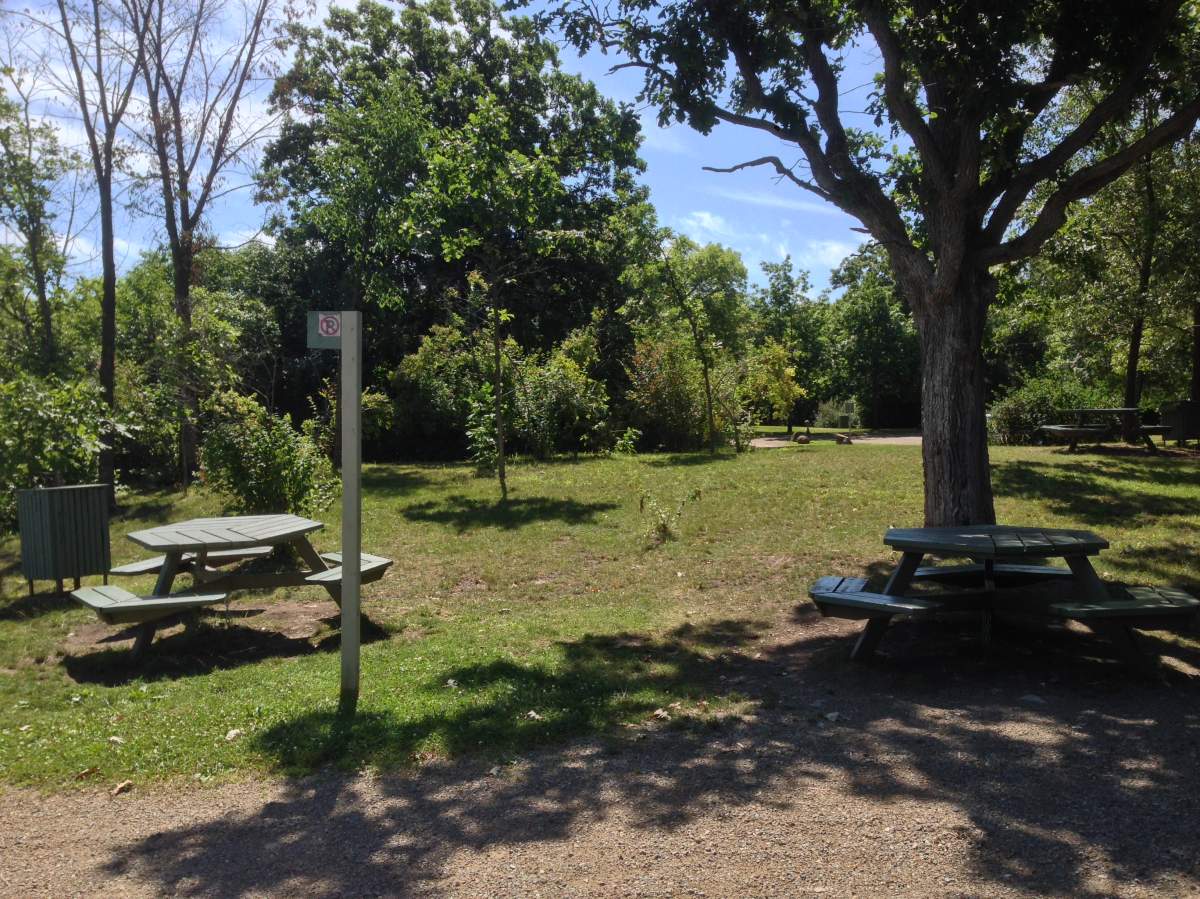 Bois-de-l’Île-Bizard Nature Park.