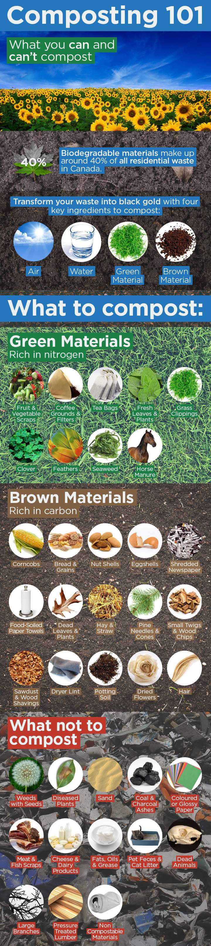 Infographic: Composting 101