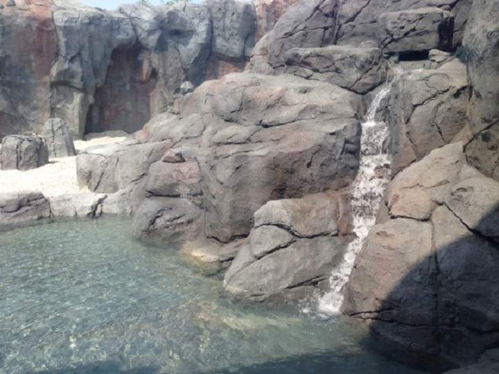 Winnipeg Assiniboine Park Zoo Journey to Churchill