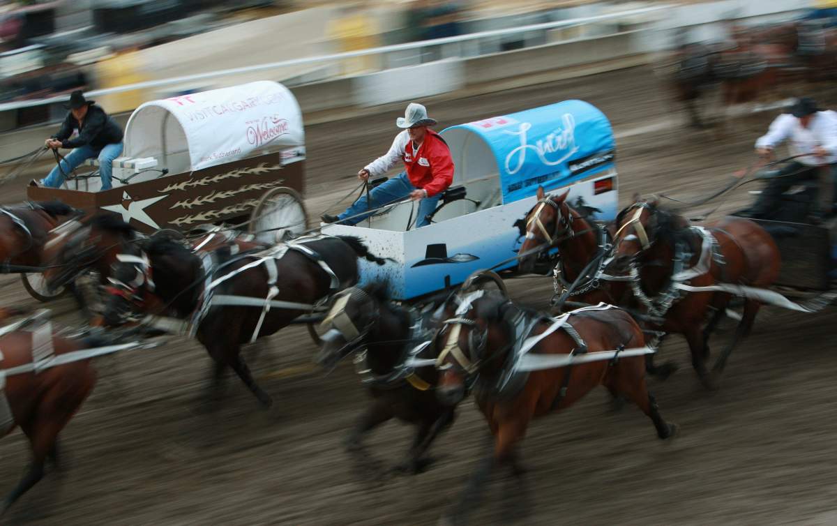 What to watch for at the 2014 Calgary Stampede Rangeland Derby - image