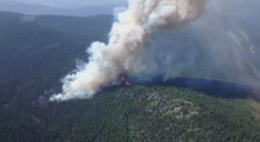 Forest fire burning at Murray Lake.