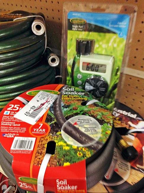 Going on vacation Prepare your garden first