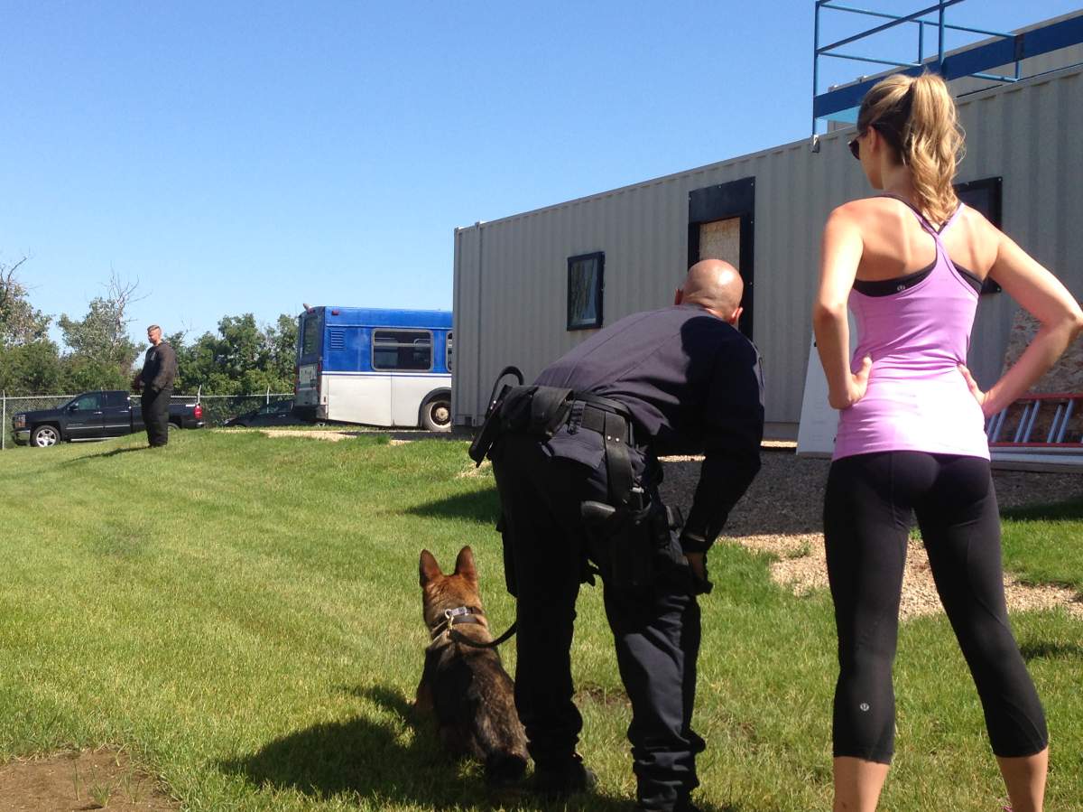 Edmonton Police Service K-9 unit, police dog