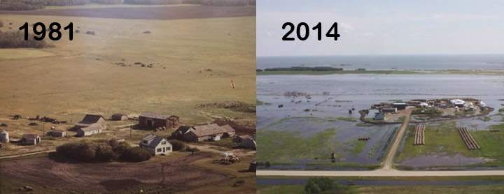 Sask. farmer believes trenching partially responsible for flooding - image