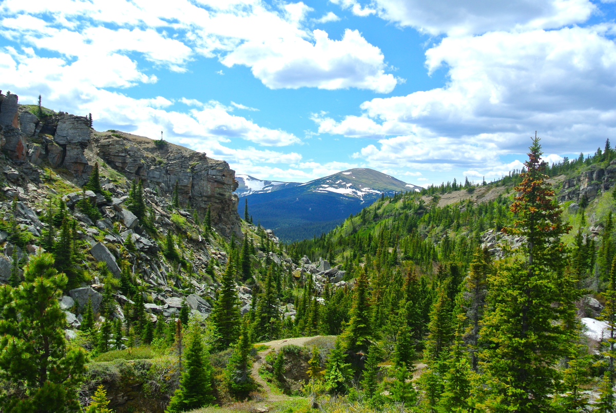 Babcock Mountain is shown in Tumbler Ridge, B.C.