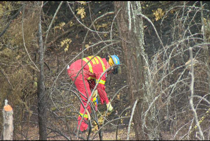 West Kelowna wildfire human caused - image