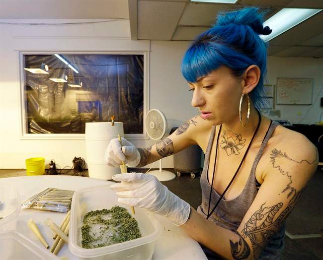 In this photo taken Tuesday, July 1, 2014, Stevie Askew, a worker at Sea of Green Farms, packs recreational marijuana into blunts that will be sold in stores when legal recreational pot sales begin Tuesday, July 8, in Washington state.