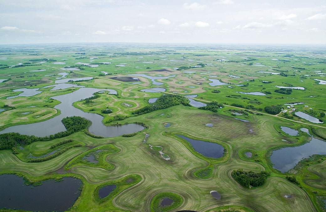 The Saskatchewan Alliance for Water Sustainability says the Saskatchewan Party and the NDP have barely dipped their toes into wetlands drainage policy.