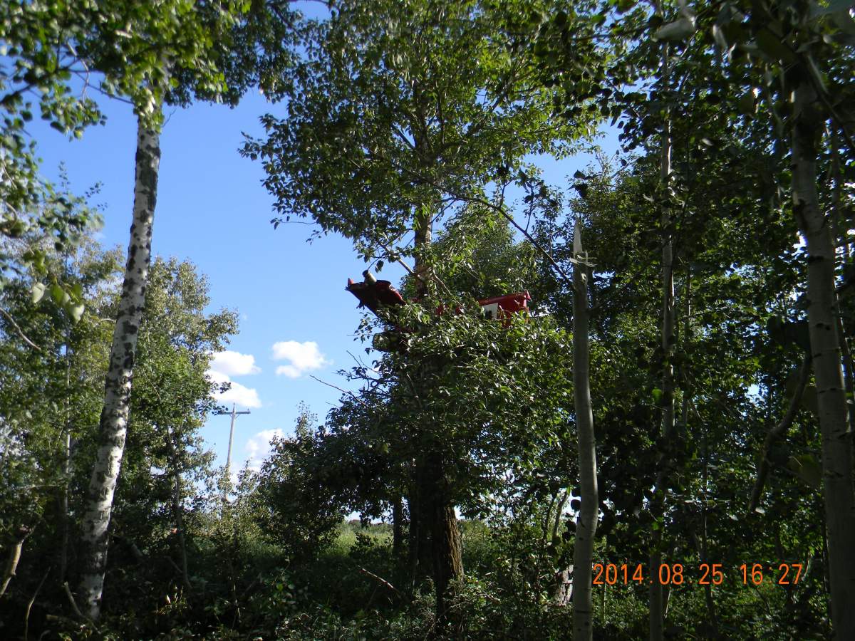 Pilot dies in plane crash near Provost, Alberta, August 25, 2014.