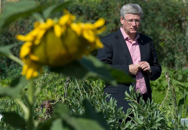 Can homegrown food win the climate change war? - image