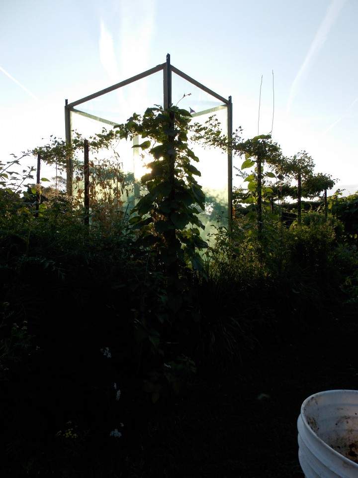 The beehive in Jardin Rencontres in NDG.