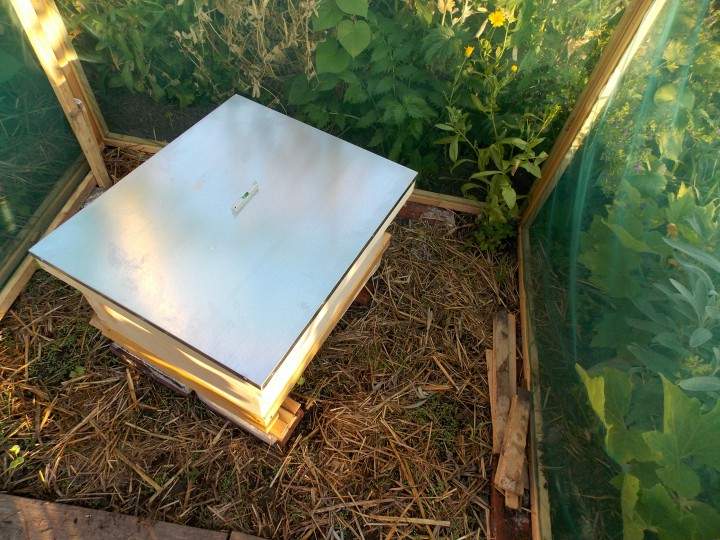 The beehive in Jardin Rencontres in NDG.