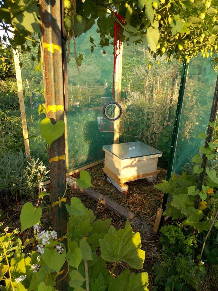 The beehive in Jardin Rencontres in NDG.