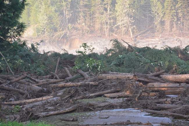 FILE PHOTO: The tailings pond of the Mount Polley mine, southeast of Quesnel, was breached, discharging waste water into Hazeltine Creek on Aug. 4, 2014. 