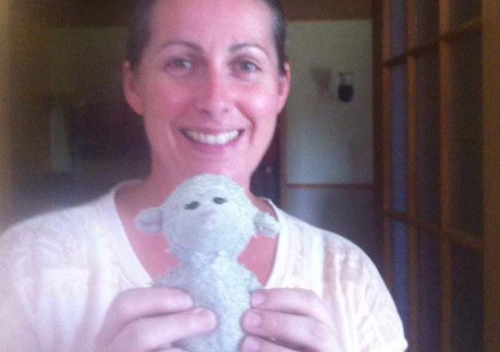 The missing stuffed lamb, Doudou, was found after an appeal on Facebook on August 11, 2014.