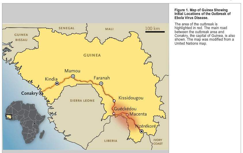 Is ‘patient zero’ in Ebola outbreak a 2-year-old boy? - image
