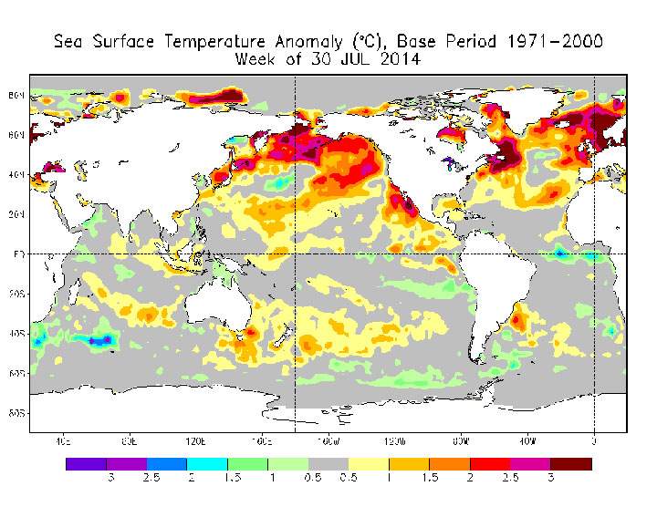 This map shows the temperature deviation of sea surface temperatures from the norms (1971-2000). Most of the central Pacific remained near normal.
