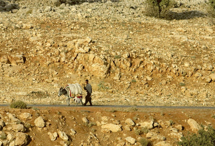 FILE - In this Monday, Sept. 19, 2005 file photo, a Yazidi man an his donkey walk along a road on Mount Sinjar, 250 miles (404 kilometers) northwest of Baghdad, Iraq. Iraqis on Friday, Aug. 8, 2014 welcomed the U.S. airlift of emergency aid to thousands of people who fled to the mountains to escape Islamic extremists and called for greater intervention, as U.S. warplanes struck the militants for the first time.