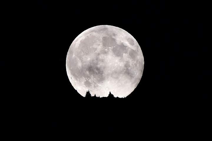 A full moon rises