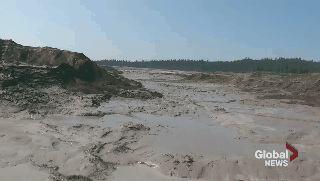 Impact of tailings pond disaster on salmon run could be significant - image