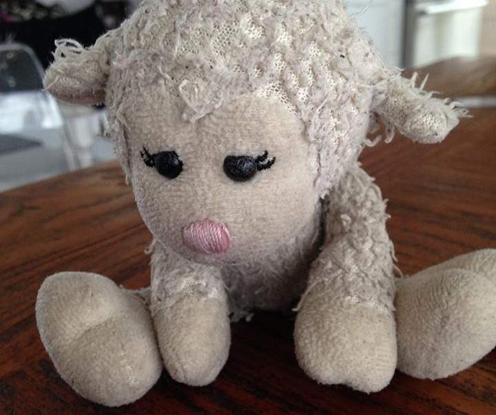 A young girl has taken to social media to find her missing stuffie after losing it at the International Balloon Festival of Saint-Jean-sur-Richelieu in Quebec.