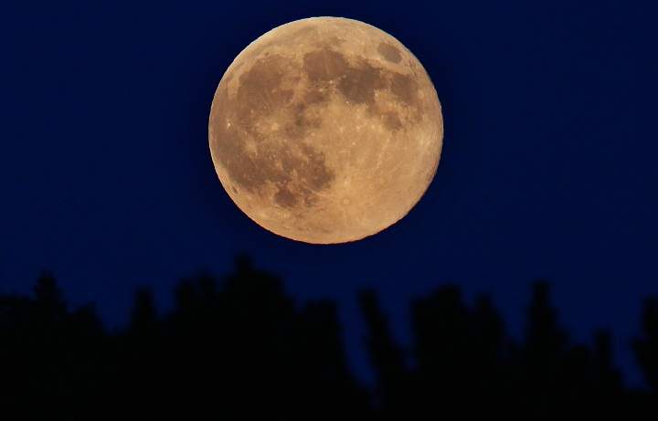 A supermoon rises through the trees on August 10, 2014 in Spencer, New York.