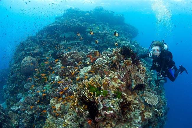 President Obama unveiled plans to help protect the marine habitat in a large part of the Pacific Ocean.