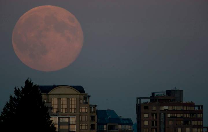 The supermoon is seen rising above apartment buildings in West Vancouver, B.C. Sunday, August, 10, 2014.